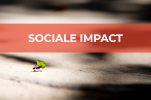 Handboek om sociale impact te bereiken door middel van storytelling.